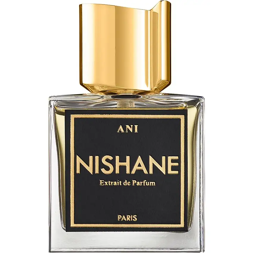 NISHANE No Boundaries Extrait de Parfum Spray ANI 50 ml