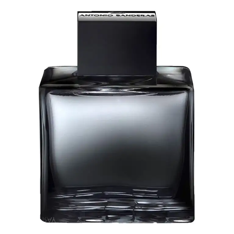 Antonio Banderas Seduction In Black Eau de toilette 100 ml