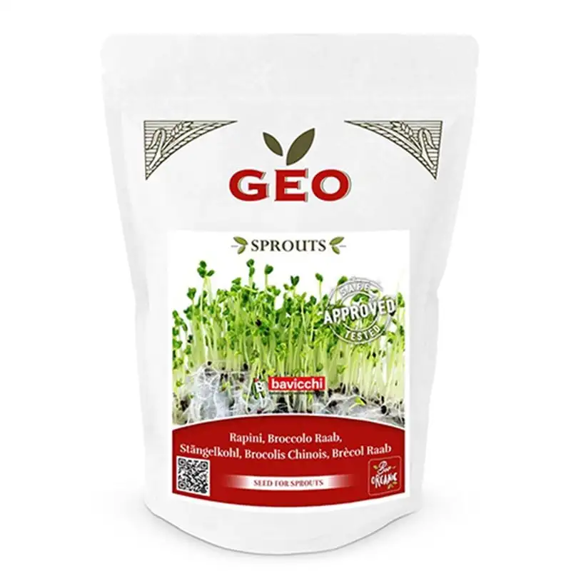 GEO Broccoli Raab Til Spiring Ø (500 g)