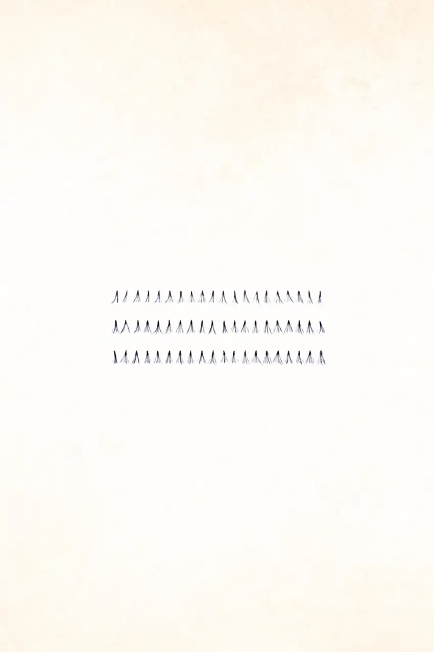 Monda Studio - Knot Free Flare Short Black