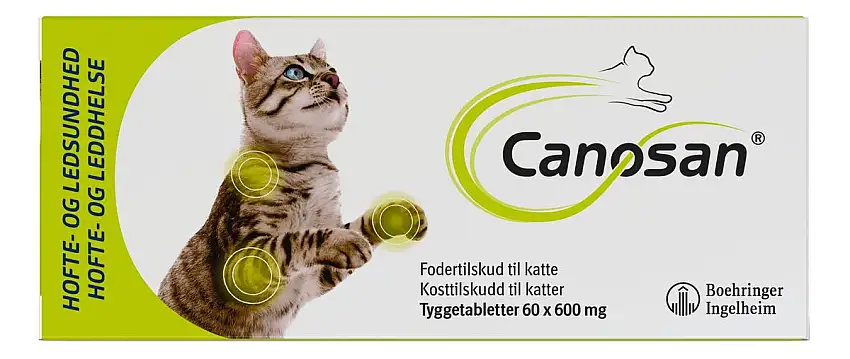 Canosan Til Kat 600 mg - 60 tabl.